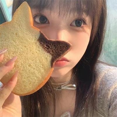 警徽天职第四季