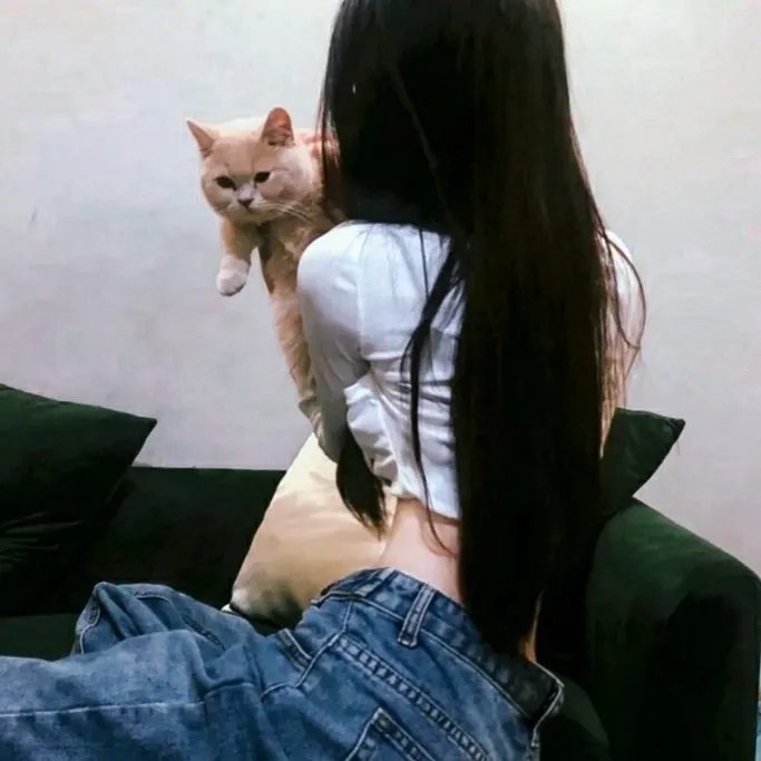 超人总动员2